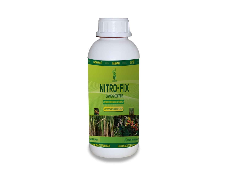 nitro-fix (sugarcane & coffee)