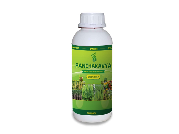 panchakavya