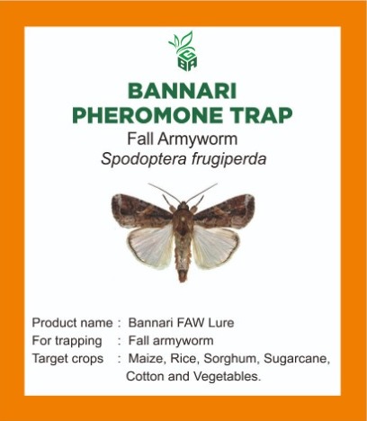 bannari pheromone trap - fall army worm