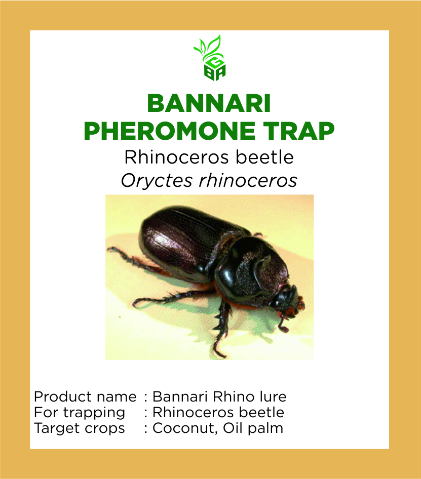 bannari pheromone trap - rhinoceros beetle