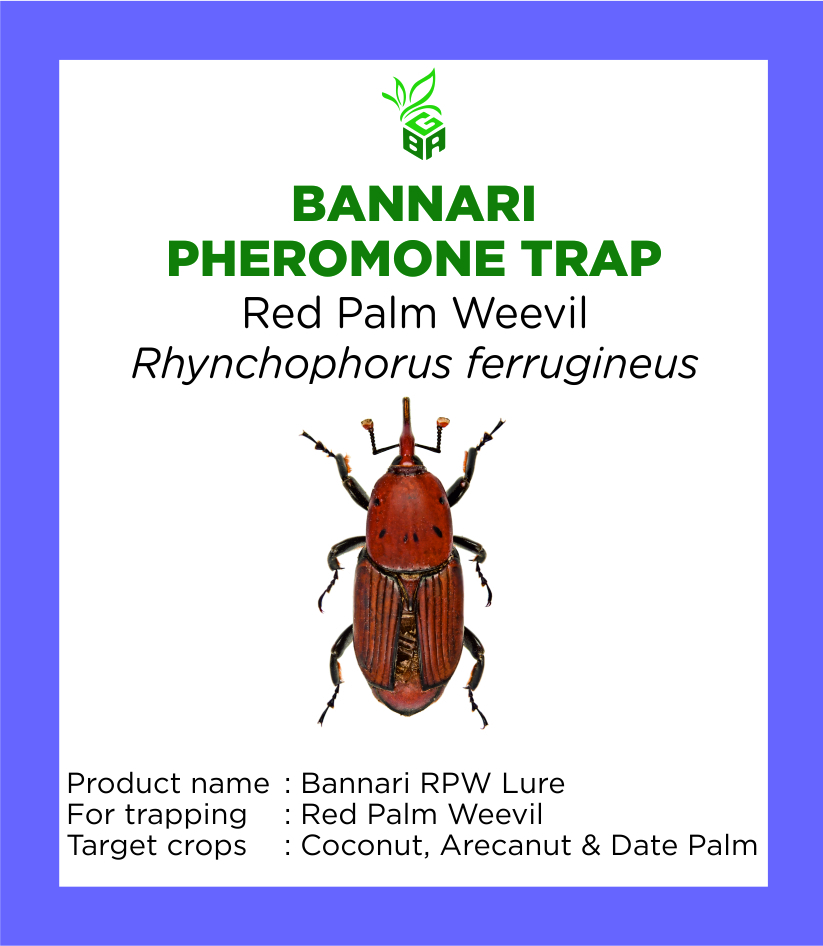 bannari pheromone trap - red palm weevil